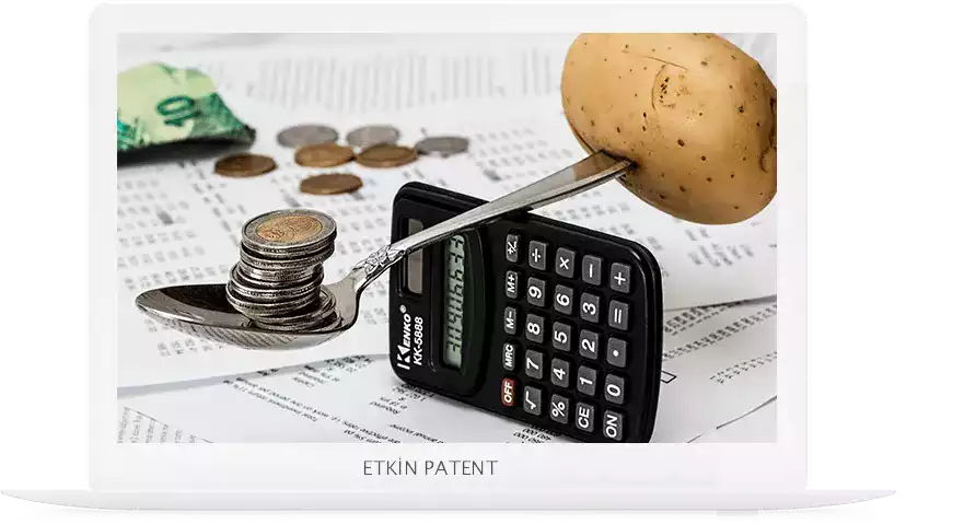 finansal davranışlara dair kombinasyon modeller-avcilar patent